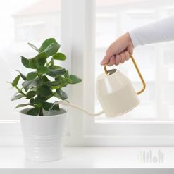 آب پاش ایکیا VATTENKRASSE