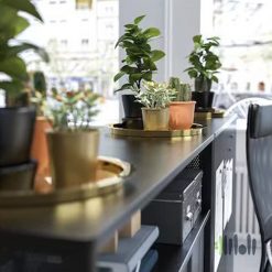 سینی چای استیل طلایی ایکیا GLATTIS