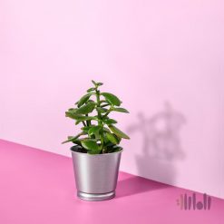 گلدان فلزی ایکیا BINTJE