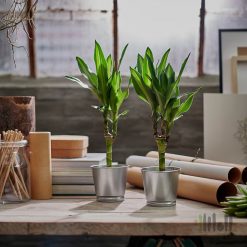 گلدان فلزی ایکیا BINTJE