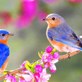 از نو شروع شدن عشق و امید بهار ۱۴۰۴