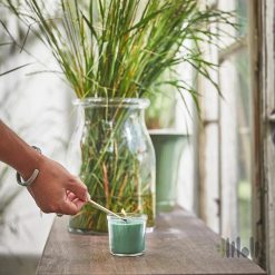 شمع لیوانی معطر چمن ایکیا HEDERSAM