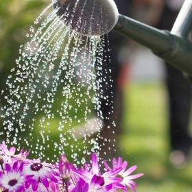 چند نکته مهم که پیش از خرید آبپاش باید بدانید