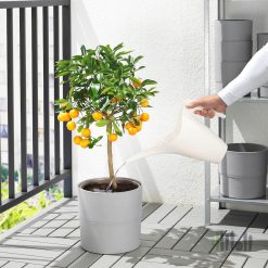 آبپاش ایکیا IKEA PS 2002