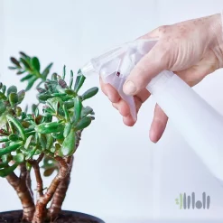 آبپاش پلاستیکی ایکیا TOMAT