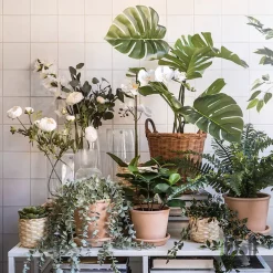 گل مصنوعی آلاله ایکیا SMYCKA