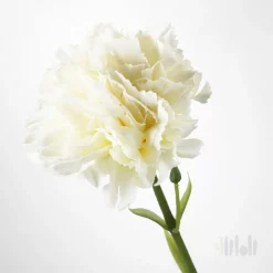 گل مصنوعی سفید ایکیا SMYCKA