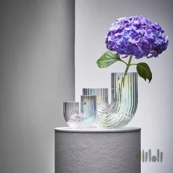 گلدان ایکیا RAFFELBJORK