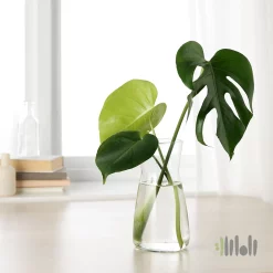 تنگ و گلدان ایکیا KARAFF