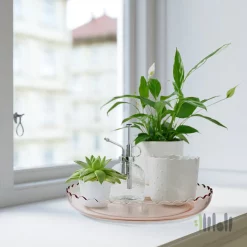 ظرف دکوری ایکیا SESAMFRON