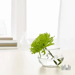 گلدان شیشه ای ایکیا VILJESTARK
