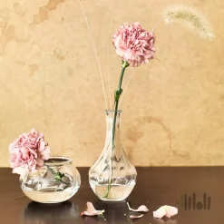 گلدان شیشه ای ایکیا VILJESTARK