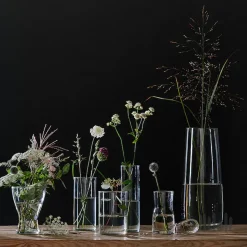 گلدان شیشه ای بلند ایکیا BERAKNA