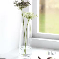 گلدان شیشه ای بلند ایکیا BERAKNA