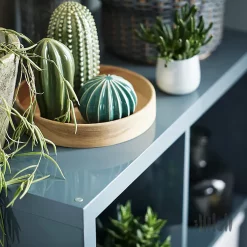 دکوری کاکتوس ایکیا SJALSLIGT بسته 3 عددی