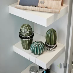 دکوری کاکتوس ایکیا SJALSLIGT بسته 3 عددی