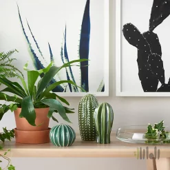 دکوری کاکتوس ایکیا SJALSLIGT بسته 3 عددی