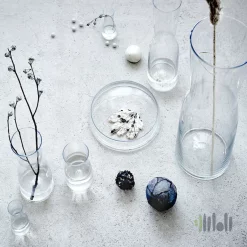 گلدان شیشه ای ایکیا TIDVATTEN