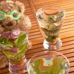 گلدان شیشه‌ای ایکیا VASEN