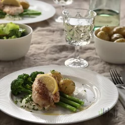 بشقاب غذاخوری ایکیا OFANTLIGT