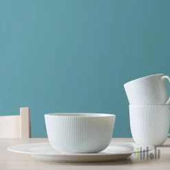 بشقاب غذاخوری ایکیا OFANTLIGT