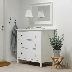 درختچه اکالیپتوس ایکیا FEJKA