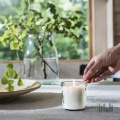 شمع لیوانی معطر چوب جنگلی ایکیا ADLAD