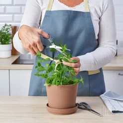 قیچی‌ ۲ عددی ایکیا SVARDFISK