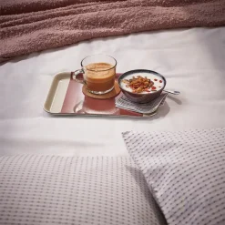 سینی ایکیا RODKNOT