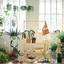 استند گیاه بسته ۲ عددی ایکیا DAKSJUS