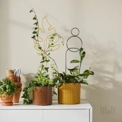 استند گیاه بسته ۲ عددی ایکیا DAKSJUS