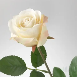 گل مصنوعی رز سفید ایکیا SMYCKA